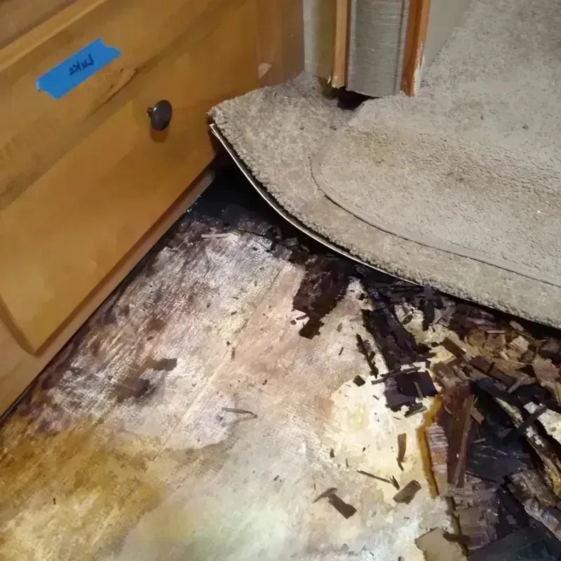 Wood Floor Water Damage in Appleton, WI